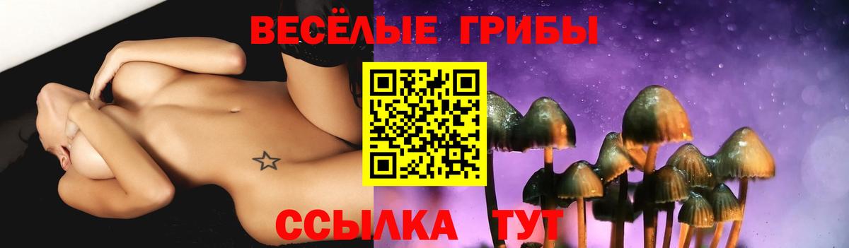 Галлюциногенные грибы мицелий  Псилоцибиновые грибы Psilocybe  Зерноград  Вход с VPN 
